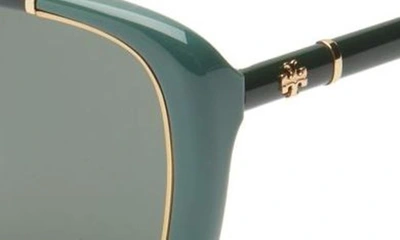 Shop Tory Burch 54mm Cat Eye Sunglasses In Green