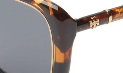 Shop Tory Burch 54mm Cat Eye Sunglasses In Dark Tortoise