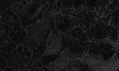 Shop Steve Madden Cassi Lace Long Sleeve Bodysuit In Black