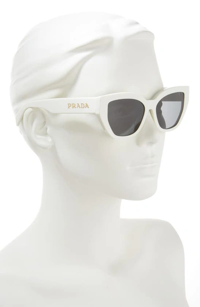 Shop Prada 55mm Butterfly Sunglasses In Bone