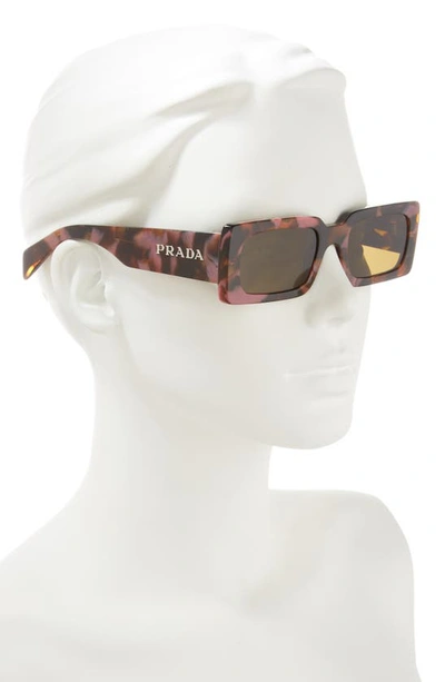 Shop Prada 52mm Pillow Sunglasses In Dark Brown