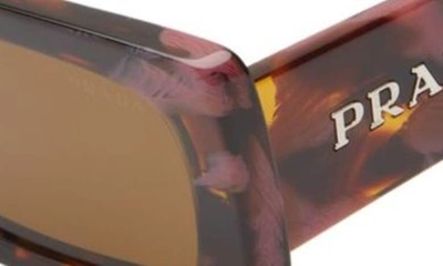 Shop Prada 52mm Pillow Sunglasses In Dark Brown