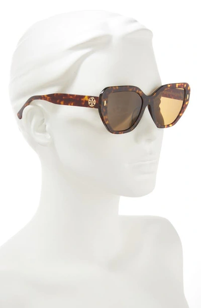 Shop Tory Burch 55mm Polarized Cat Eye Sunglasses In Dark Tortoise