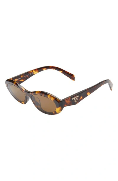 Shop Prada 56mm Oval Sunglasses In Dark Brown