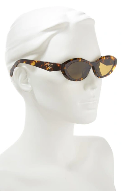 Prada 55mm Irregular Sunglasses In Dark Brown