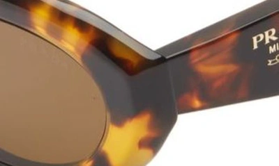 Prada 55mm Irregular Sunglasses In Dark Brown