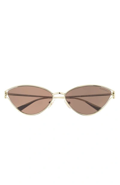 Shop Tiffany & Co 61mm Cat Eye Sunglasses In Lite Brown