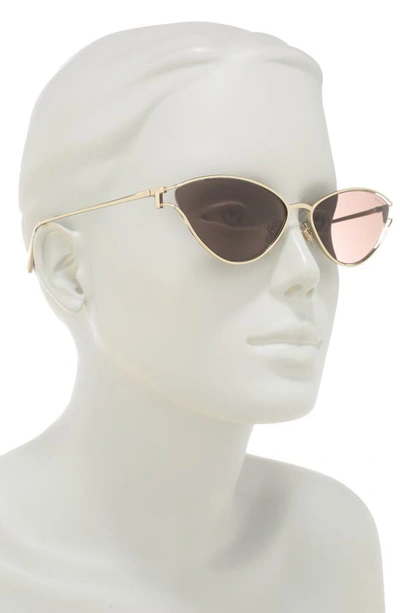 Shop Tiffany & Co 61mm Cat Eye Sunglasses In Lite Brown