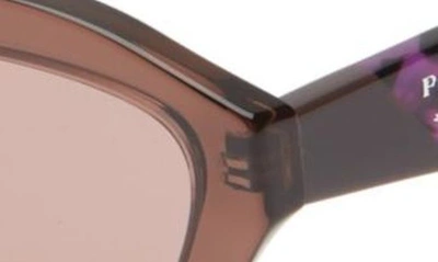 Shop Prada 55mm Butterfly Sunglasses In Light Brown