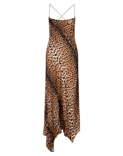 Shop Roberto Cavalli Long Dresses In Brown
