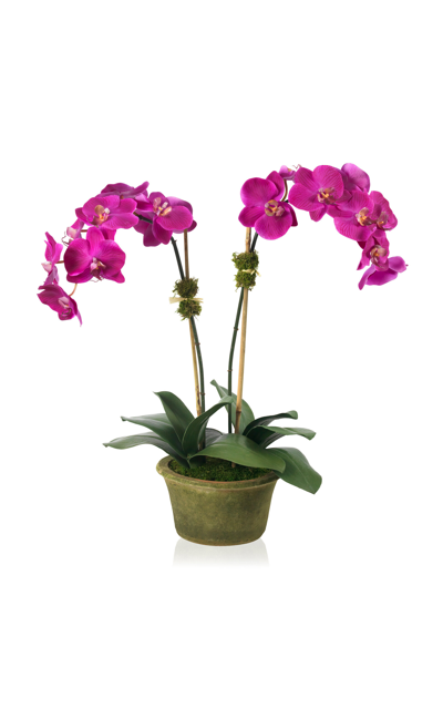 Shop Diane James Designs Faux Fuchsia Phalaenopsis Orchid