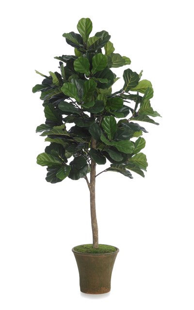 Shop Diane James Designs Fiddle Leaf Fig Tree In Green