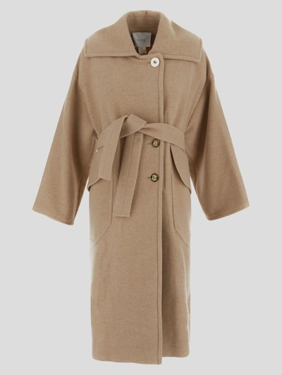Shop Patou Coats In Biscuit