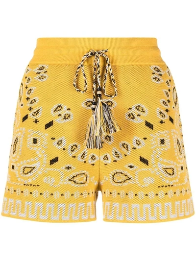 Shop Alanui Pique Bandana-print Shorts In Yellow