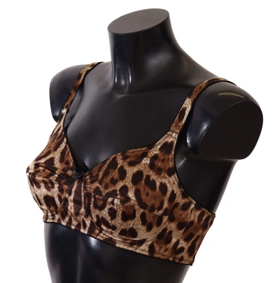 Shop Dolce & Gabbana Brown Leopard  Bra Underwear
