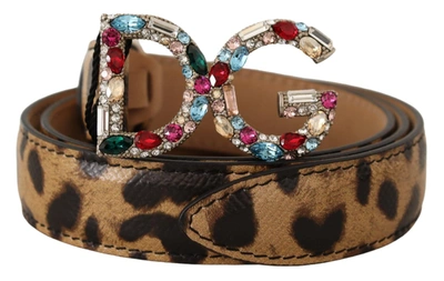 Shop Dolce & Gabbana Brown Leopard Leather Dg Crystals Buckle Belt
