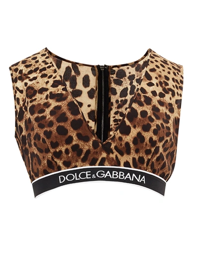 Shop Dolce & Gabbana Brown Leopard Print Cropped V Neck Top