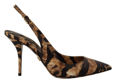 Shop Dolce & Gabbana Brown Slingbacks Leather Tiger Shoes