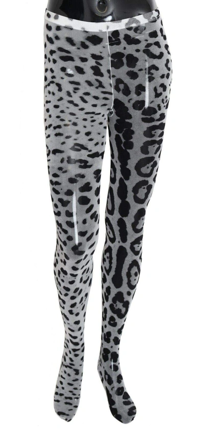 Shop Dolce & Gabbana Gray Leopard Print Mesh Nylon Tights