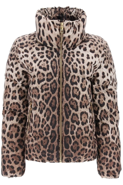 Shop Dolce & Gabbana Leopard Print Short Puffer Jacket In Mixed Colours