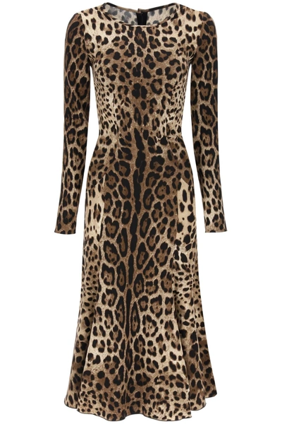 Shop Dolce & Gabbana Midi Dress In Leopard Cady In Mixed Colours