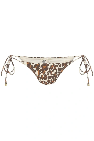 Shop Tory Burch Leopard Print Bikini Bottom In Mixed Colours