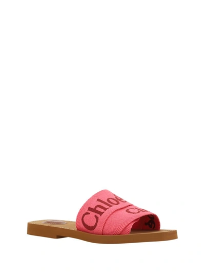 Shop Chloé Sandals In Pink - Red
