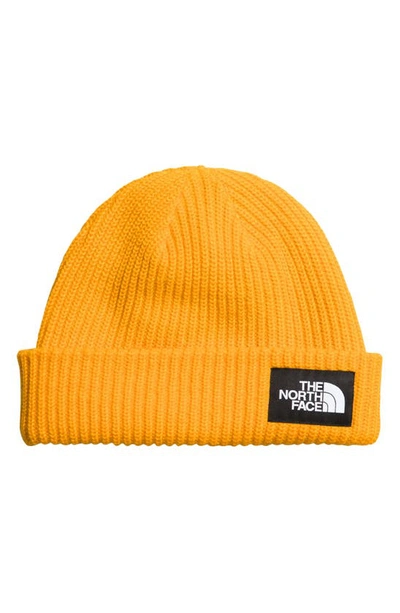 Shop The North Face Salty Dog Beanie In Summit Gold