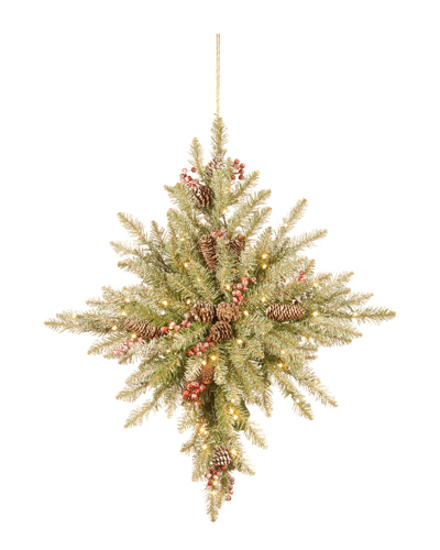 NATIONAL TREE COMPANY NATIONAL TREE COMPANY 32IN SNOWY DUNHILL FIR BETHLEHEM STAR WITH LIGHTS 
