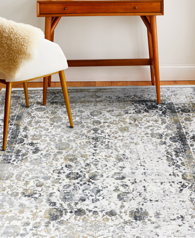 Bb Rugs Charm Chm136 7'9" X 9'9" Area Rug In Ivory,gray