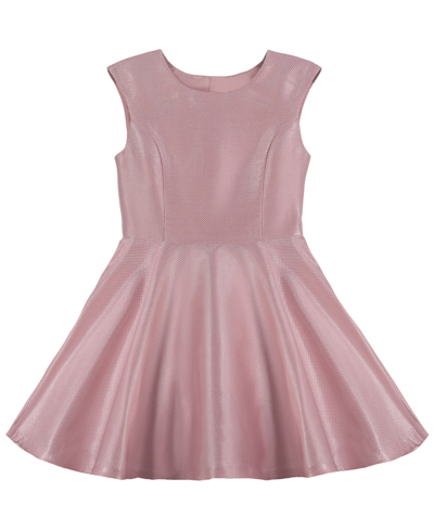 Shop Calvin Klein Big Girls Princess Seam Bodice Skate Fit And Fare Dress In Light Pink