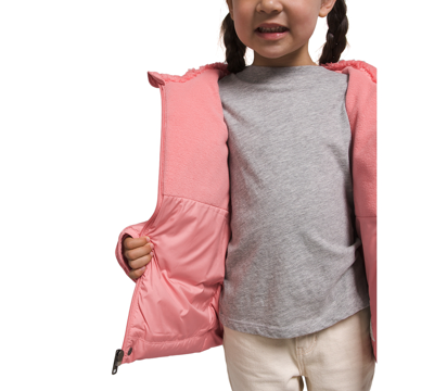 Shop The North Face Toddler & Little Girls North Down Hooded Jacket In Shady Rose