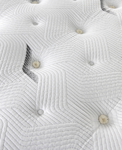 Paramount Hd Maximus 13" Cushion Firm Mattress Set In No Color