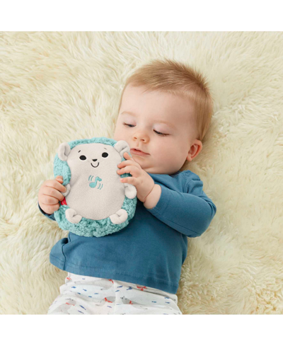 Fisher Price Calming Vibes Hedgehog Soother, Portable Infant Plush Pal In Multi-color