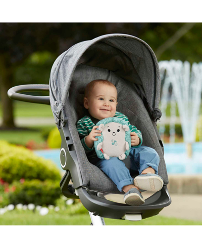 Fisher Price Calming Vibes Hedgehog Soother, Portable Infant Plush Pal In Multi-color
