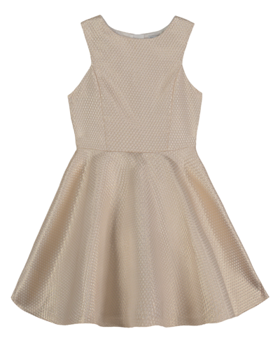 Shop Calvin Klein Little Girls Pieced Bodice Sleeveless Dress In Gold