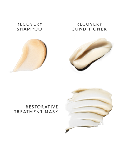 Shop Virtue 3-pc. Recovery Discovery Set In No Color