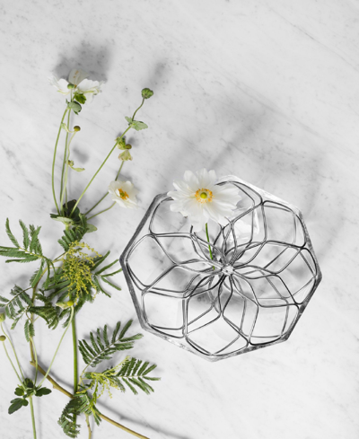 Orrefors Bloom Glass & Metal Round Vase In Clear