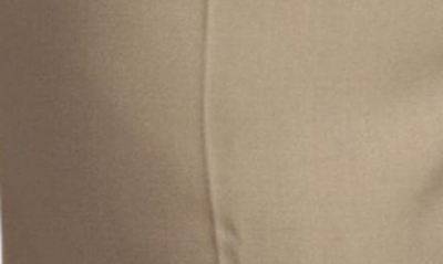Tailorbyrd Straight Leg Dress Pants In Tan