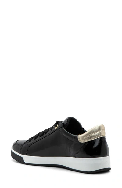 Ara Rei Low Top Sneaker In Black