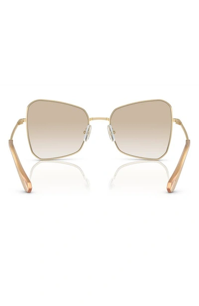 Shop Swarovski 57mm Butterfly Sunglasses In Pale Gold