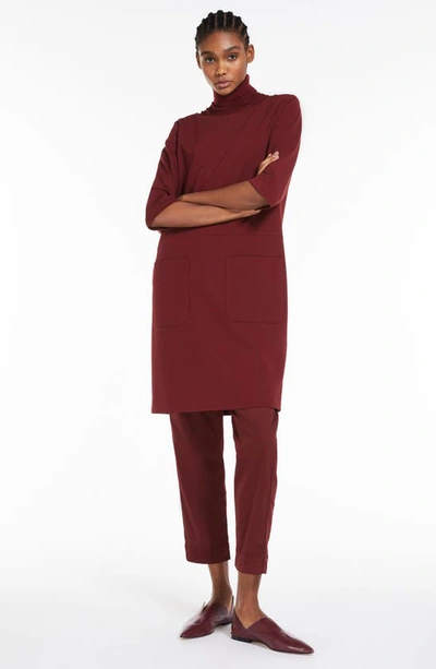 Max Mara Terreno Drawstring Stretch Cotton Ankle Pants In Brick Red