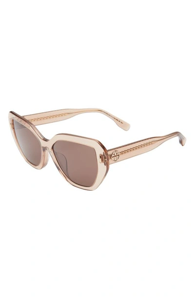 Shop Tory Burch 55mm Cat Eye Sunglasses In Brown
