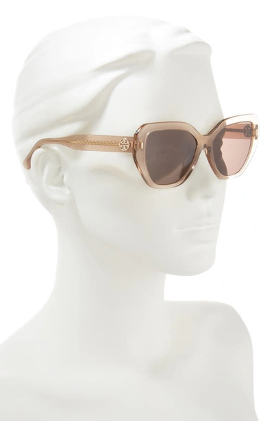 Shop Tory Burch 55mm Cat Eye Sunglasses In Brown