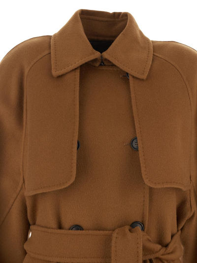 Shop Max Mara Falcone Cashmere Coat In Brown