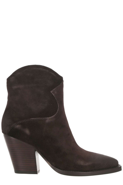 Shop Ash Ebony Boots In Brown