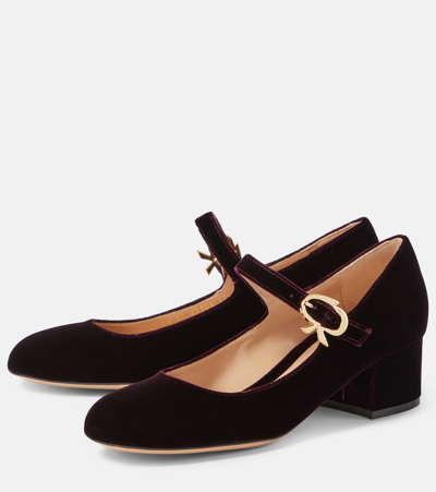 Shop Gianvito Rossi Mary Ribbon 45 Velvet Pumps In Purple