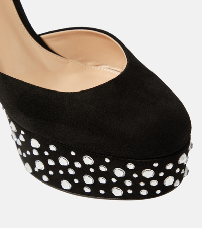 Gianvito Rossi Plateau-pumps Crystal Holly Aus Veloursleder In Black