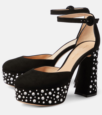Gianvito Rossi Plateau-pumps Crystal Holly Aus Veloursleder In Black