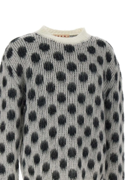 Shop Marni Sweater In White - Black
